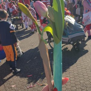 Köln, Tulpen in Krepppapier